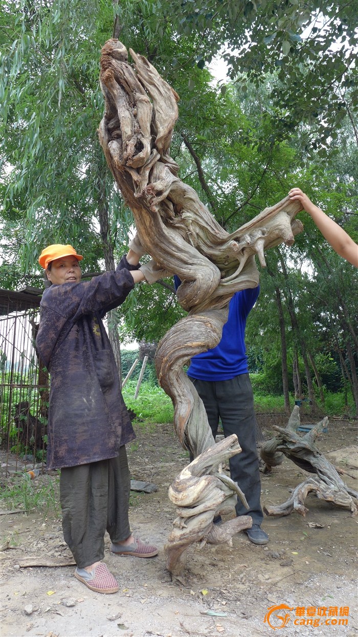 澳门新葡游戏网