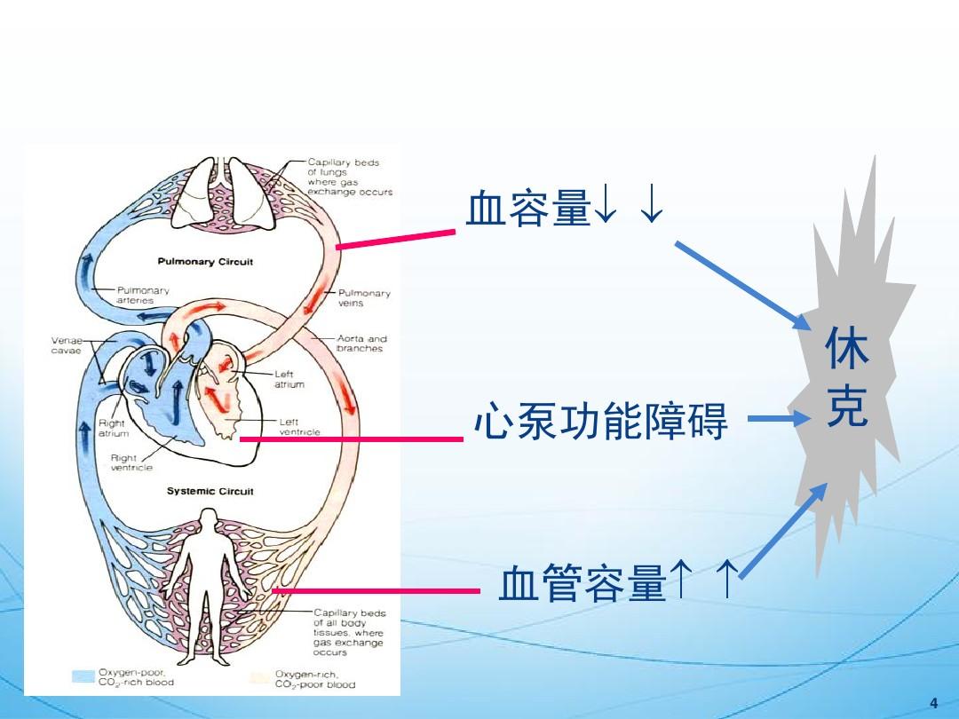 澳门新葡8455最新网站下载