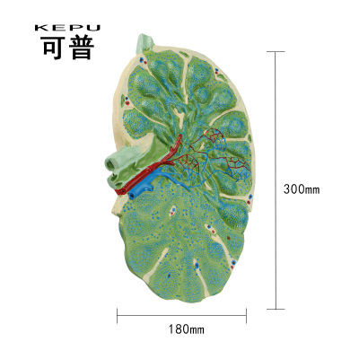 澳门新葡游戏网